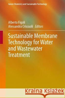 Sustainable Membrane Technology for Water and Wastewater Treatment Alberto Figoli Alessandra Criscuoli 9789811056215 Springer