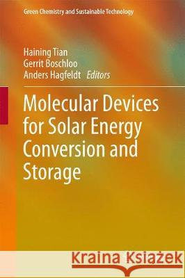 Molecular Devices for Solar Energy Conversion and Storage Haining Tian Gerrit Boschloo Anders Hagfeldt 9789811059230 Springer