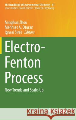 Electro-Fenton Process: New Trends and Scale-Up Zhou, Minghua 9789811064050 Springer