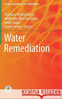Water Remediation Shantanu Bhattacharya Akhilendra Bhushan Gupta Ankur Gupta 9789811075506 Springer