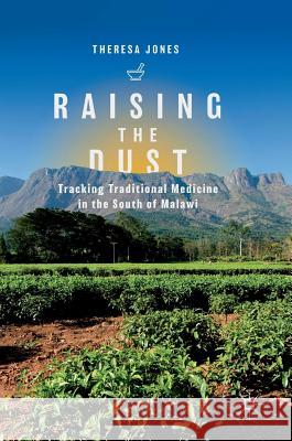 Raising the Dust: Tracking Traditional Medicine in the South of Malawi Jones, Theresa 9789811084195