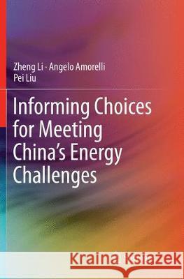 Informing Choices for Meeting China's Energy Challenges Zheng Li Angelo Amorelli Pei Liu 9789811095962 Springer