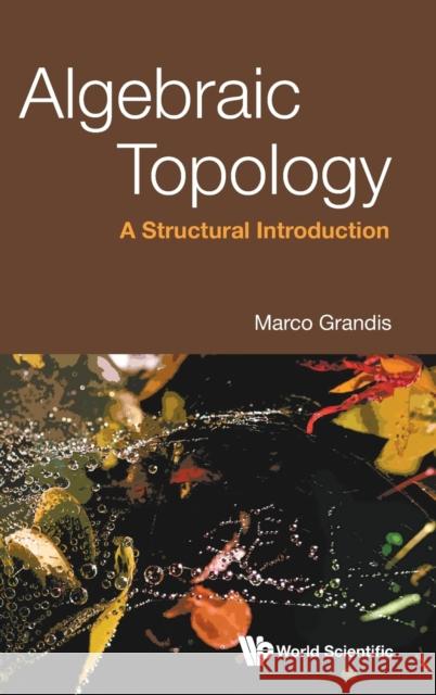 Algebraic Topology: A Structural Introduction Marco Grandis 9789811248351 World Scientific Publishing Company