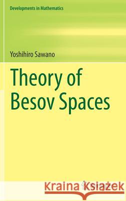 Theory of Besov Spaces Yoshihiro Sawano 9789811308352 Springer