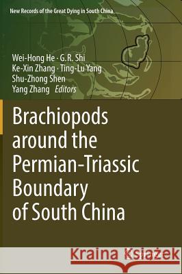 Brachiopods Around the Permian-Triassic Boundary of South China He, Wei-Hong 9789811310409 Springer