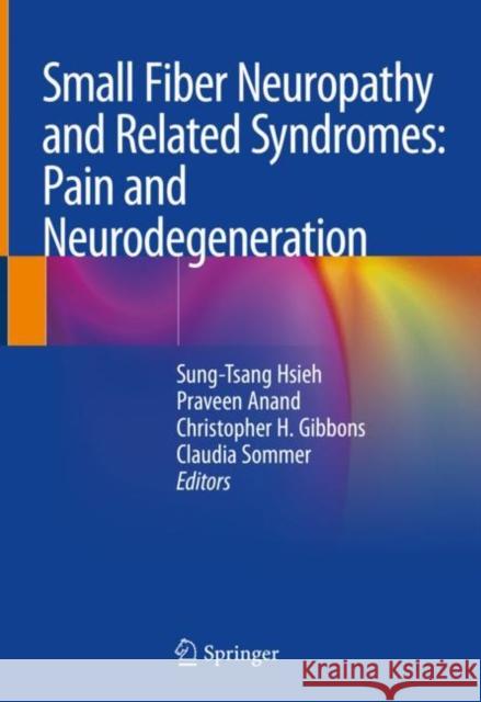 Small Fiber Neuropathy and Related Syndromes: Pain and Neurodegeneration  9789811335457 Springer