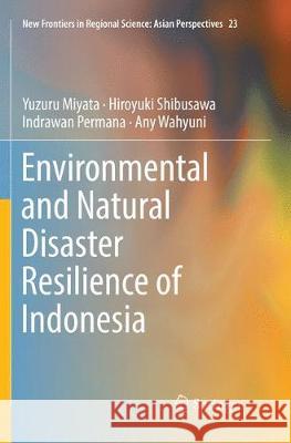 Environmental and Natural Disaster Resilience of Indonesia Yuzuru Miyata Hiroyuki Shibusawa Indrawan Permana 9789811340925 Springer