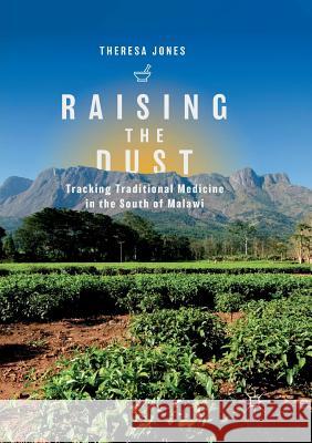Raising the Dust: Tracking Traditional Medicine in the South of Malawi Jones, Theresa 9789811341458