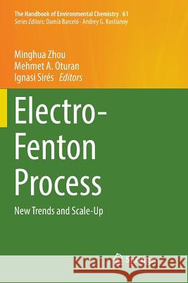 Electro-Fenton Process: New Trends and Scale-Up Zhou, Minghua 9789811348730 Springer