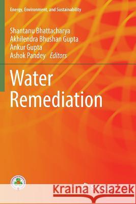Water Remediation Shantanu Bhattacharya Akhilendra Bhushan Gupta Ankur Gupta 9789811356520 Springer