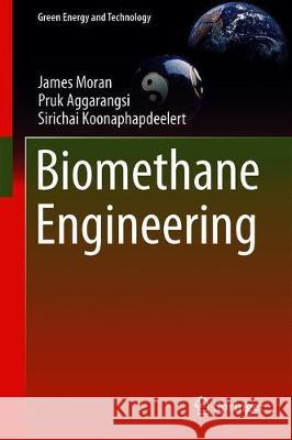 Biomethane: Production and Applications Koonaphapdeelert, Sirichai 9789811383069