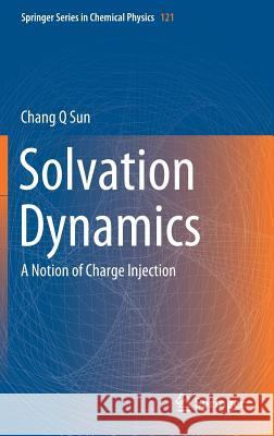 Solvation Dynamics: A Notion of Charge Injection Sun, Chang Q. 9789811384400 Springer