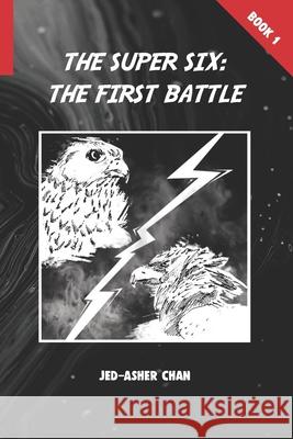 The Super Six: The First Battle Jed-Asher Chan 9789811463396 DC Channing