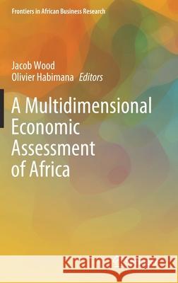 A Multidimensional Economic Assessment of Africa Jacob Wood Olivier Habimana 9789811545092 Springer