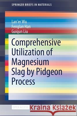 Comprehensive Utilization of Magnesium Slag by Pidgeon Process Lan'er Wu Fenglan Han Guiqun Liu 9789811621734 Springer