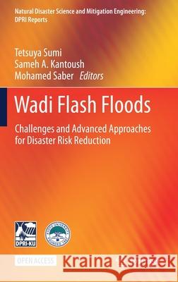 Wadi Flash Floods: Challenges and Advanced Approaches for Disaster Risk Reduction Tetsuya Sumi Sameh A. Kantoush Mohamed Saber 9789811629037 Springer