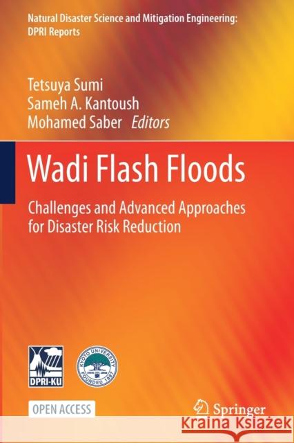 Wadi Flash Floods: Challenges and Advanced Approaches for Disaster Risk Reduction Tetsuya Sumi Sameh A. Kantoush Mohamed Saber 9789811629068
