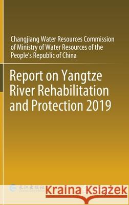 Report on Yangtze River Rehabilitation and Protection 2019 Cwrc 9789811649264 Springer