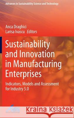 Sustainability and Innovation in Manufacturing Enterprises: Indicators, Models and Assessment for Industry 5.0 Draghici, Anca 9789811673641