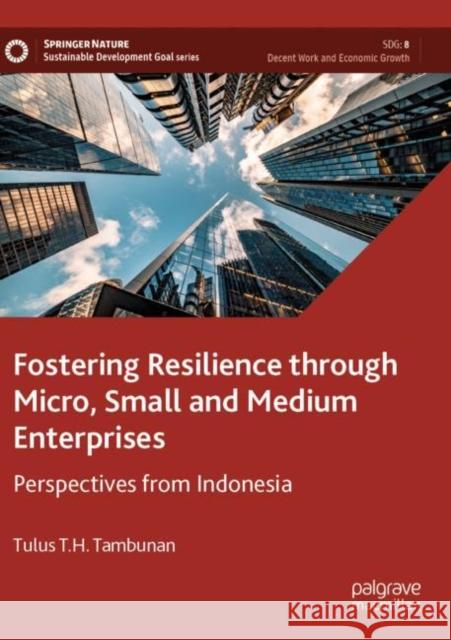 Fostering Resilience through Micro, Small and Medium Enterprises: Perspectives from Indonesia Tulus T. H. Tambunan 9789811694370