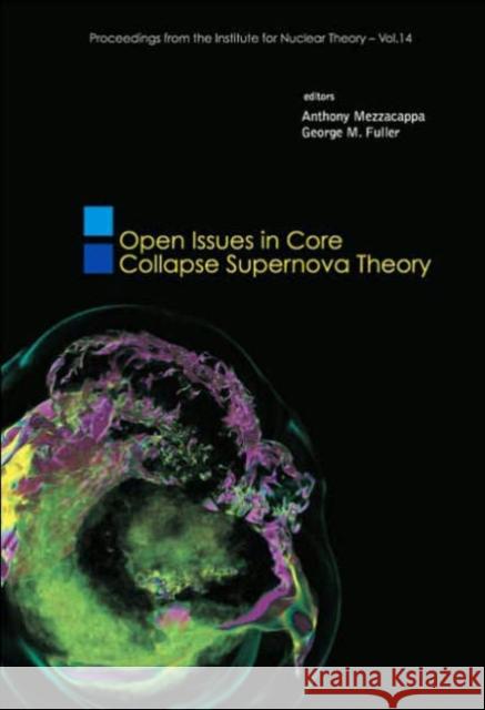 Open Issues in Core Collapse Supernova Theory Mezzacappa, Anthony 9789812563149 World Scientific Publishing Company