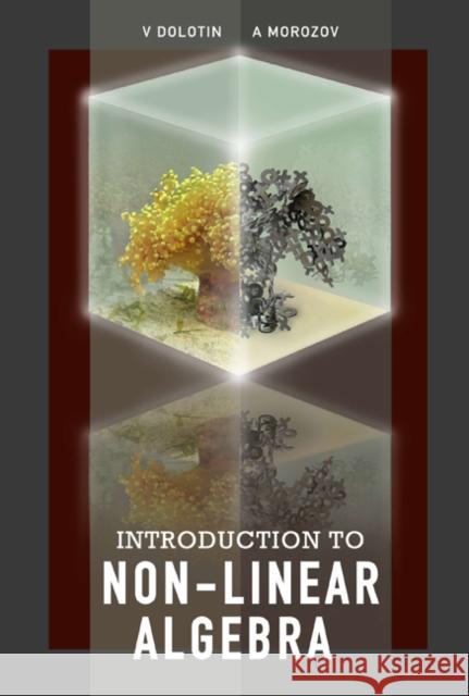 Introduction to Non-Linear Algebra Morozov, Alexei 9789812708007 World Scientific Publishing Company
