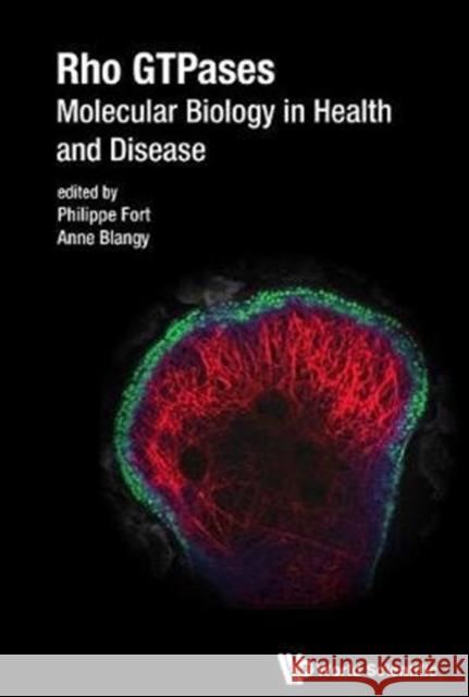 Rho Gtpases: Molecular Biology in Health and Disease Philippe Fort (French National Center Fo Anne Blangy (French National Center For   9789813228788