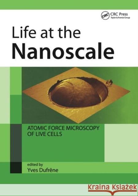 Life at the Nanoscale: Atomic Force Microscopy of Live Cells Dufrene, Yves 9789814267960 Pan Stanford Publishing