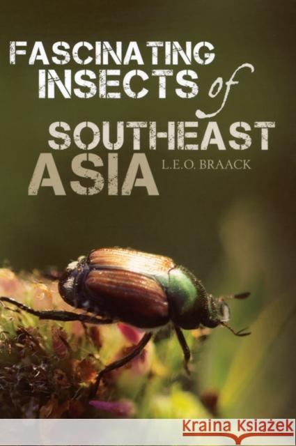 Fascinating Insects of Southeast Asia BRAACK, L E O 9789814276498 