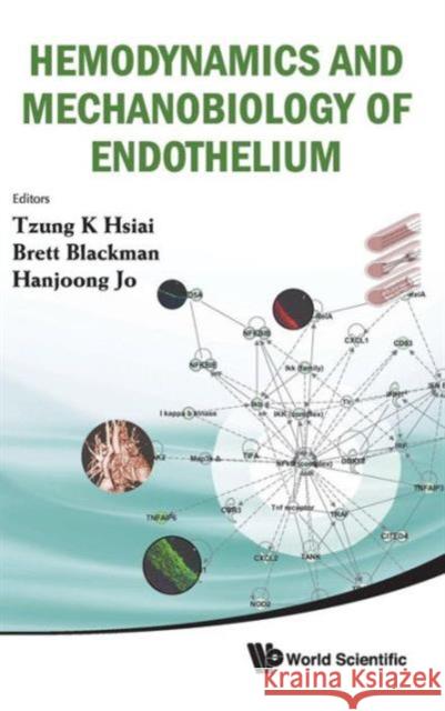 Hemodynamics and Mechanobiology of Endothelium Blackman, Brett 9789814280419 World Scientific Publishing Company