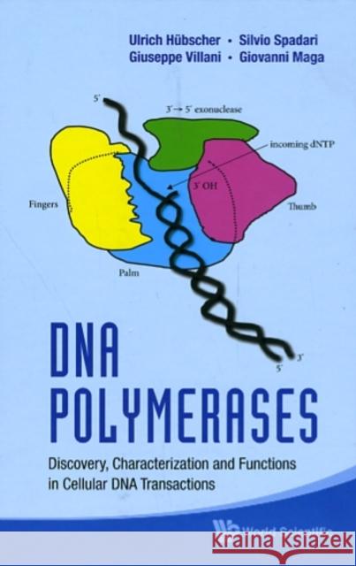 DNA Polymerases: Discovery, Characterization and Functions in Cellular DNA Transactions Hubscher, Ulrich 9789814299169 World Scientific Publishing Company