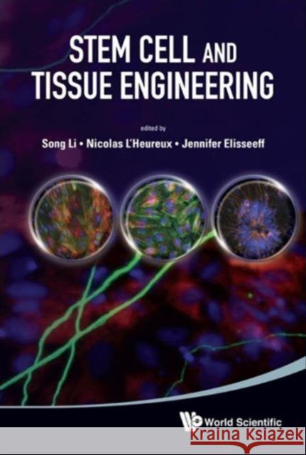 Stem Cell and Tissue Engineering Li, Song 9789814317054 World Scientific Publishing Company