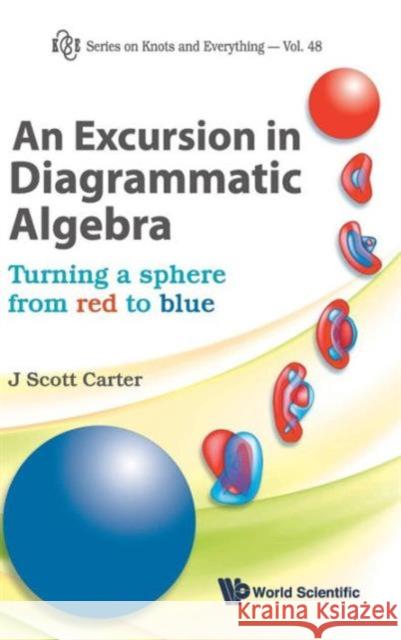 Excursion in Diagrammatic Algebra, An: Turning a Sphere from Red to Blue Carter, J. Scott 9789814374491 World Scientific Publishing Company