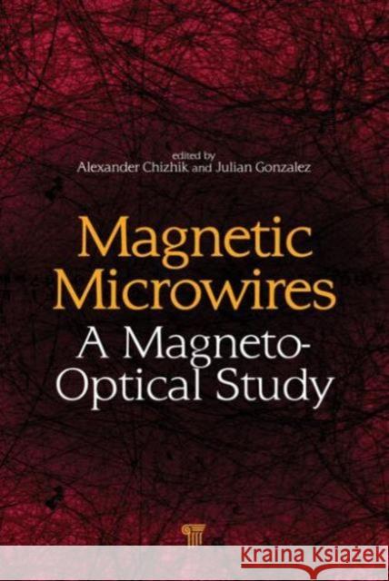Magnetic Microwires: A Magneto-Optical Study Chizhik, Alexander 9789814411257