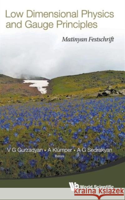 Low Dimensional Physics and Gauge Principles: Matinyan's Festschrift Gurzadyan, Vahe G. 9789814440332 World Scientific Publishing Company