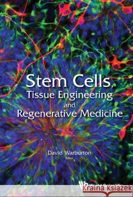 Stem Cells, Tissue Engineering and Regenerative Medicine David Warburton 9789814612777 World Scientific Publishing Company