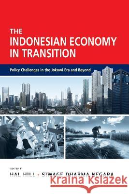 The Indonesian Economy in Transition: Policy Challenges in the Jokowi Era and Beyond Hal Hill Siwage Dharma Negara 9789814843065 Iseas-Yusof Ishak Institute