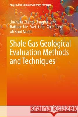 Shale Gas Geological Evaluation Methods and Techniques Jinchuan Zhang Jianghui Ding Haikuan Nie 9789819551439 Springer