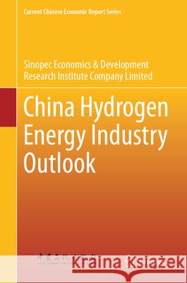 China Hydrogen Energy Industry Outlook Sinopec Economics & Development Research 9789819676422