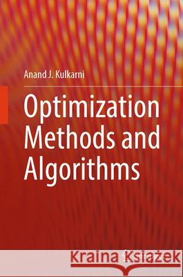 Optimization Methods and Algorithms, m. 1 Buch, m. 1 E-Book Kulkarni, Anand J 9789819691937 Springer