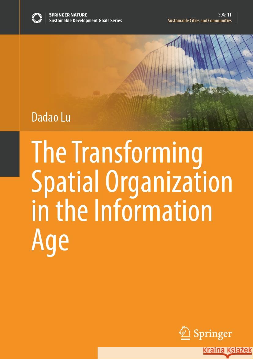 The Transforming Spatial Organization in the Information Age Dadao Lu 9789819722228 Springer