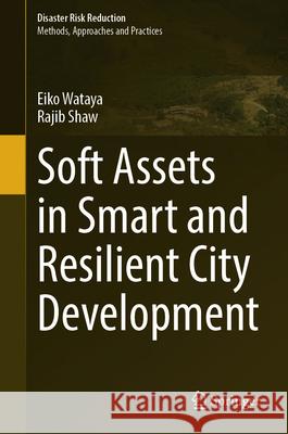 Soft Assets in Smart and Resilient City Development Eiko Wataya Rajib Shaw 9789819733729 Springer