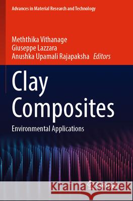 Clay Composites  9789819925469 Springer Nature Singapore