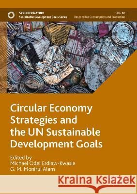 Circular Economy Strategies and the UN Sustainable Development Goals  9789819930821 Springer Nature Singapore