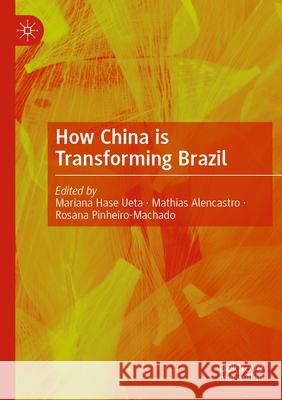 How China is Transforming Brazil  9789819931040 Springer Nature Singapore