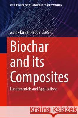 Biochar and its Composites  9789819952380 Springer Nature Singapore