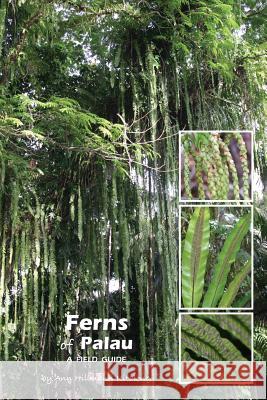 Ferns of Palau: A Field Guide Ann Hillmann Kitalong 9789829818416