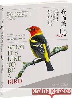 What It's Like to Be a Bird: From Flying to Nesting, Eating to Singing--What Birds Are Doing, and Why David Allen Sibley 9789865562359 Da Jia Chu Ban She