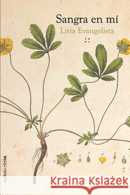 Sangra En Mí Evangelista, Liria 9789874062772 CDD A864