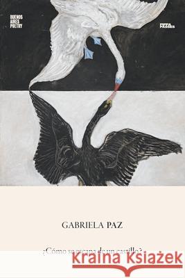?C?mo se escapa de un castillo? Gabriela Paz 9789878470818 Buenos Aires Poetry